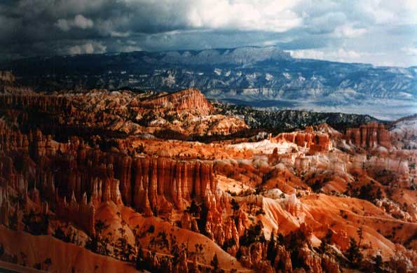 Nature's Palette Knife