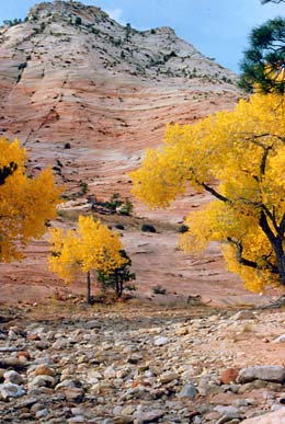 Fall, Zion
