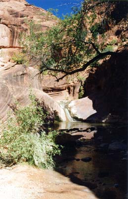 Redcliffs