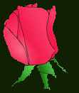 Celebrate The Rosebud