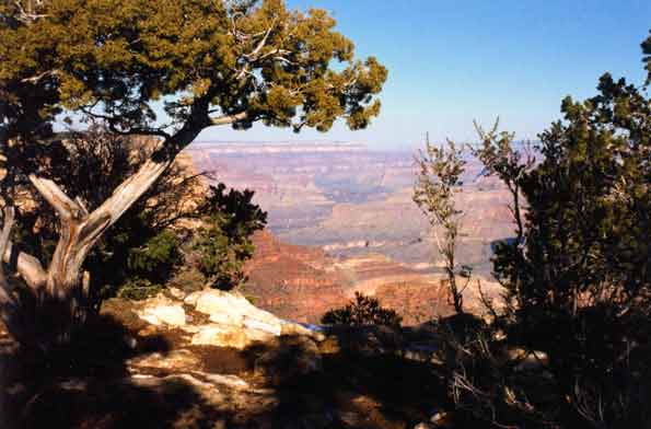 The South Rim