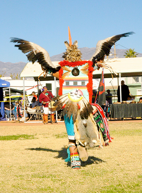 eagledamcerb1