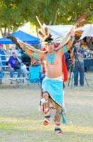 eagledancer