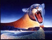 feline809kbc